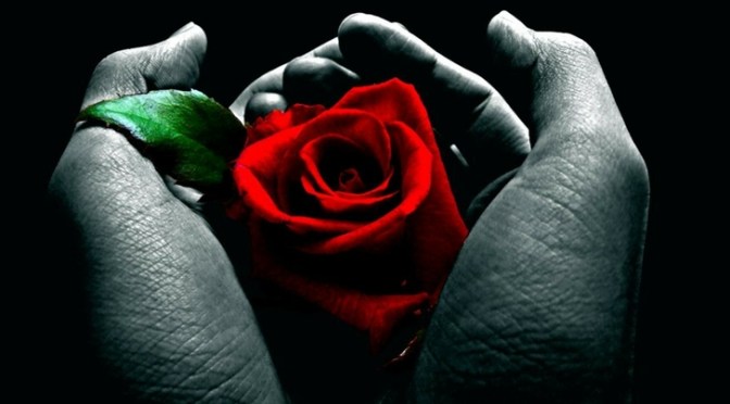 Re-Opening Schools Experts (ROSE) Task Force